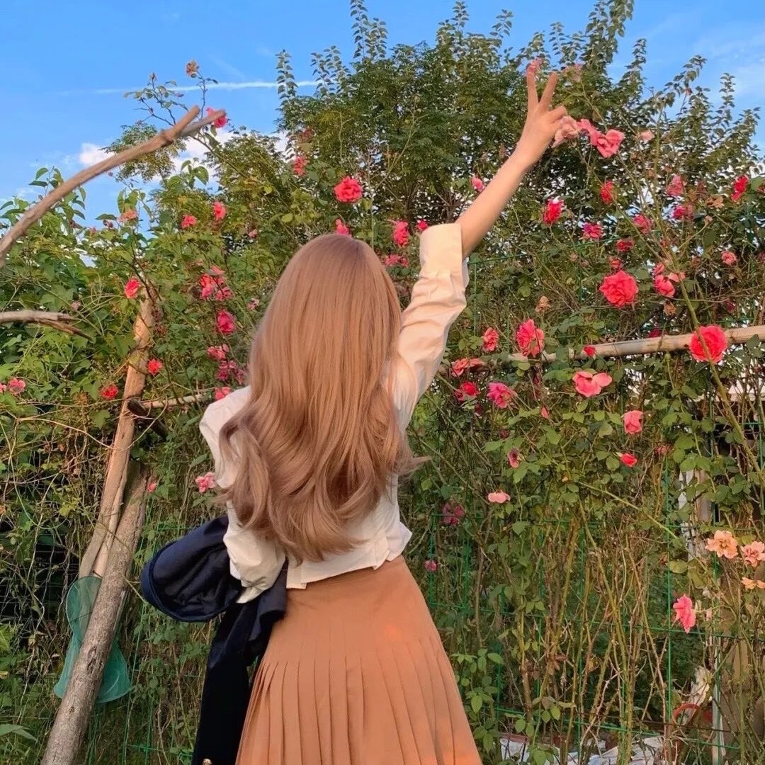 莲花太子海报